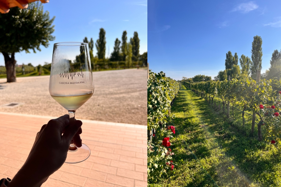 Cascina Maddalena Vineyard A Family Run Vineyard In. Sirmione Lake Garda Showing A Glass Of Wine And The Vineyard