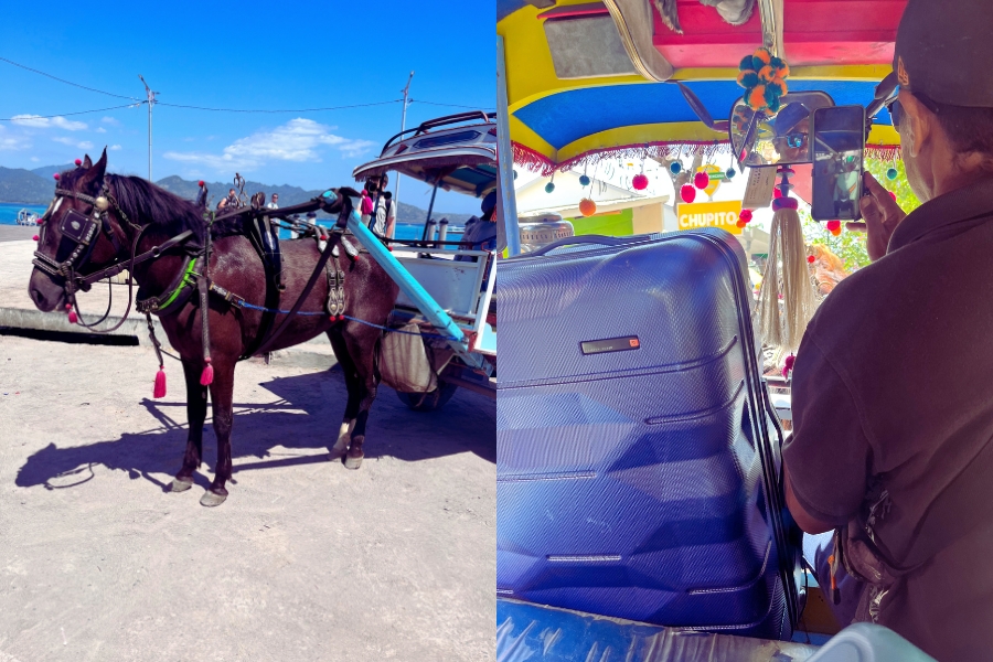 Transfer By Horse And Cart Gili Air 