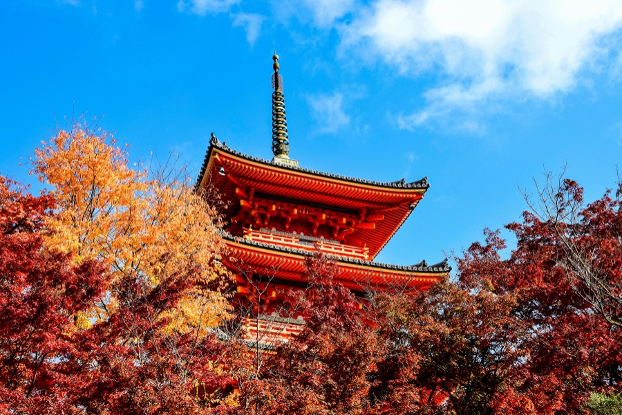 Kyoto en automne Kiyomizu-dera à Kyoto d'en bas avec des feuilles automnales entourant