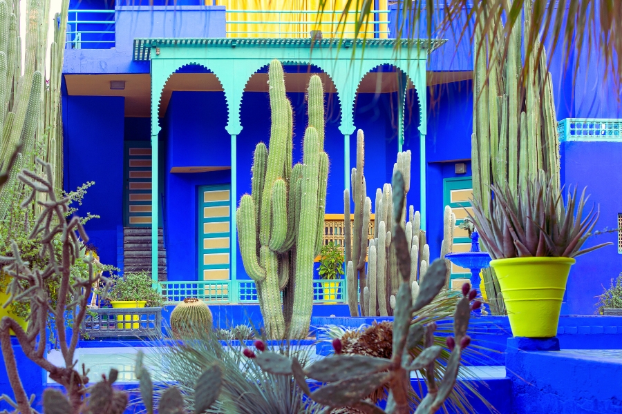 Electric Blue Of Jardin Majorelle In Marrakech
