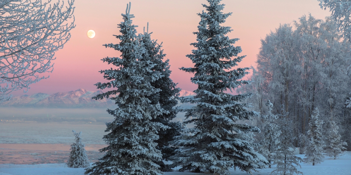 Snowy scene in January at sunset