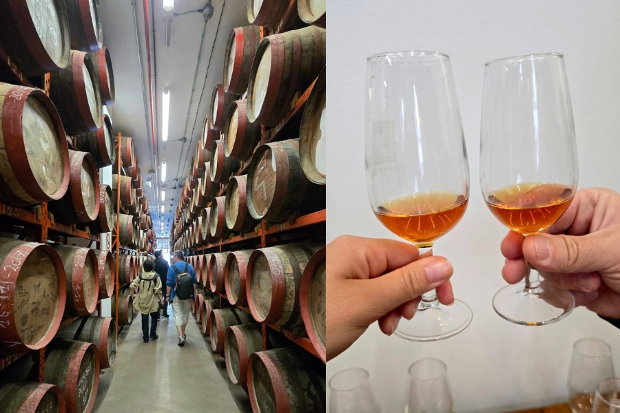 Arehucas Rum Distillery Rum barrels and rum tasting at Arehucas Distillery in Arucas Gran Canaria