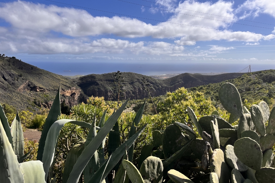 Bandama Caldera View of Caldera de Bandama in Gran Canaria