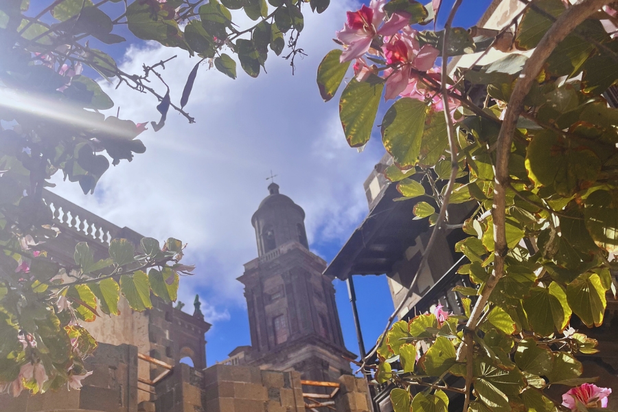 Old Town in Las Palmas on a sunny day in February