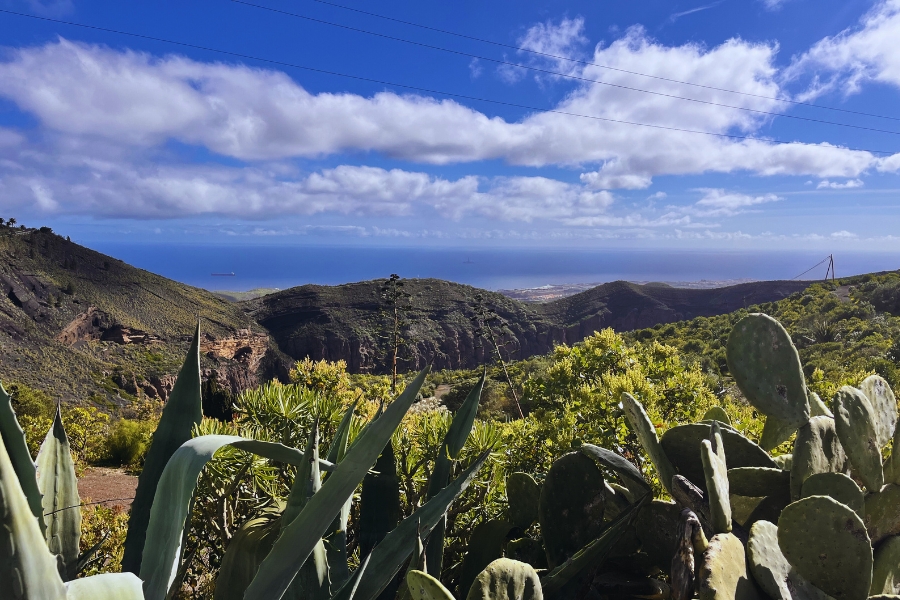 The Bandama crater in Gran Canaria 
