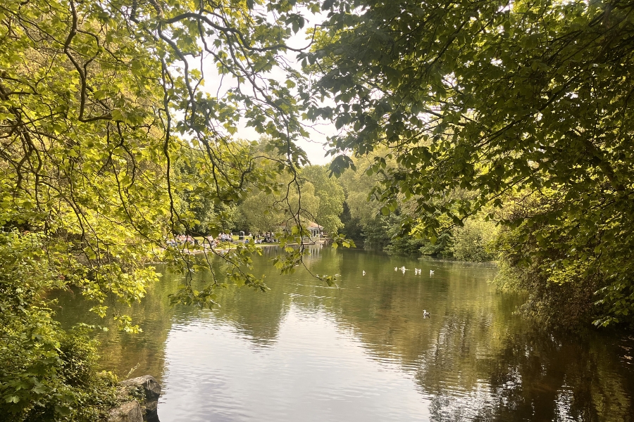 St Stephen's Green Dublin