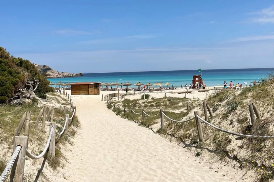 Cala Agulla in Mallorca with white sand and dunes